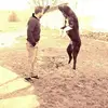 Gábor Berki - @berkigabor - TikTok