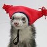 Gábor Huszár - @huszargabor76 - Instagram