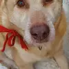 Gabor Nemeth - @gabor.nemeth809 - TikTok