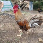 Triple T Garcia - Facebook