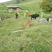 Gabriel Agudelo - Facebook