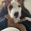 Gabriela Agudelo’s - @gabrielaagudelo0 - TikTok