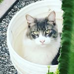 Gabriel aldea - @gabriel.aldea2006 - Instagram