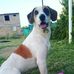 Gabriel Ali - Facebook