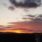 Gabriel Allison - @gabrielallison55 - Instagram