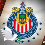 Gabriel Ambriz - @gambrizgomez - Instagram
