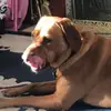 Gabriel Andre - @gabriel.andre5 - TikTok
