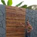 Gabriel Artis - Facebook