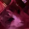 gabrielballard15 - @gabrielballard15 - TikTok