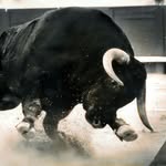Gabriel Bartley - @rave_bull - Instagram