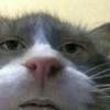 gabriel_bauer - @gabriel_243009 - TikTok
