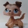 Gabriella Baughman - @gabriellabaughman2 - TikTok