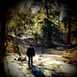 Gabriel Baumann - @gabe_baumann - Instagram