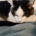 Gabriel Baumann - @lego_bauer_123 - Instagram