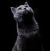 Gabriel Baumgartner - Facebook