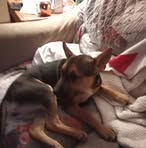 Gabriel Beasley - Facebook