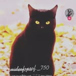 Gabriel Bey - @gabebey2011 - Instagram