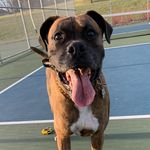 Jax Gabriel Boyce - @cpt_jaxx - Instagram
