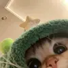 Gabriel Branches Loyal - @gabriel.branches - TikTok