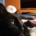 gabriel briones - @briones6451 - Instagram