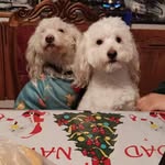 Gabriel Briones - @gabriel.briones.54922 - Instagram
