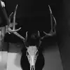 Gabriel Bryant - @gabriel.bryant2 - TikTok