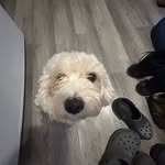 Gabe Bryson - @gabrielbryson_ - Instagram