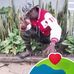 Gabriel Bryson - Facebook