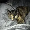 user3024245640820 - @gabriellerileybuchanan - TikTok