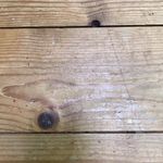 Gabriel Byrd - @gabriel_the_byrd - Instagram