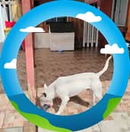 Gabriel Casanova - Facebook