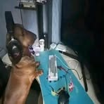 Gabriel Casanova - Facebook