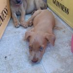 gabriel chambers - @chambersgabriel1 - Instagram