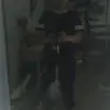 gabrielcolunga3 - @gabrielcolunga3 - TikTok