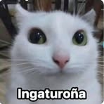 Gabriel Conde - Facebook