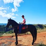 Gabriel Conde - @biel_pecuaria - Instagram