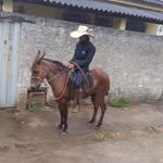 gabriel condé - @gabrielconderp - Instagram