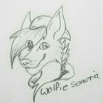 Gabriel Conner - @wolfiesamaria02 - Instagram