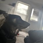 Gabriel Conner - Facebook