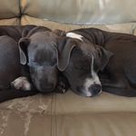 Rowen Gabriel Conner - @rowen_g_c - Instagram