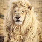 Gabriel Corzo - @gabriel.corzo.9081 - Instagram