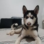 Gabriel Corzo - @corzo813 - Instagram