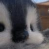 Joseph - @josephgabrielcorzocuro - TikTok