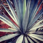 Gabriel coss y leon Hurtado - @gabrielcossyleonhurtado - Instagram