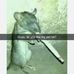 Gabriel Craft - Facebook