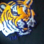 LSU tigers - @gabrielcrain - Instagram