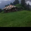 ጅብሪል ዘውዱ - @gabrielcrown1 - TikTok