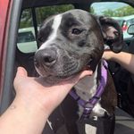 Gabriel Dodd - @gabriel.dodd.353 - Instagram