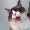 Gabriel Donovan - @gabrieldonovan2 - TikTok
