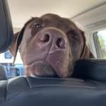 Gabriel Dubon - @gabrieldub05 - Instagram